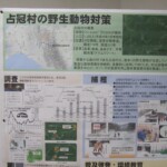 占冠村の鳥獣対策 鳥獣対策