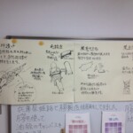 毛皮のなめし方 毛皮のなめし方
